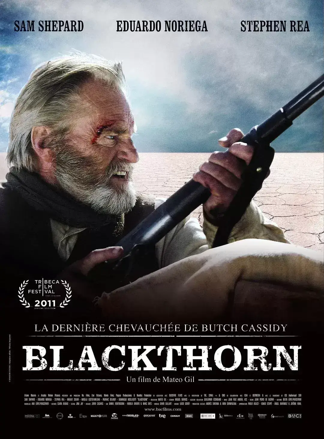黑荆棘 蓝光原盘下载+高清MKV版 2011 Blackthorn 22.6G