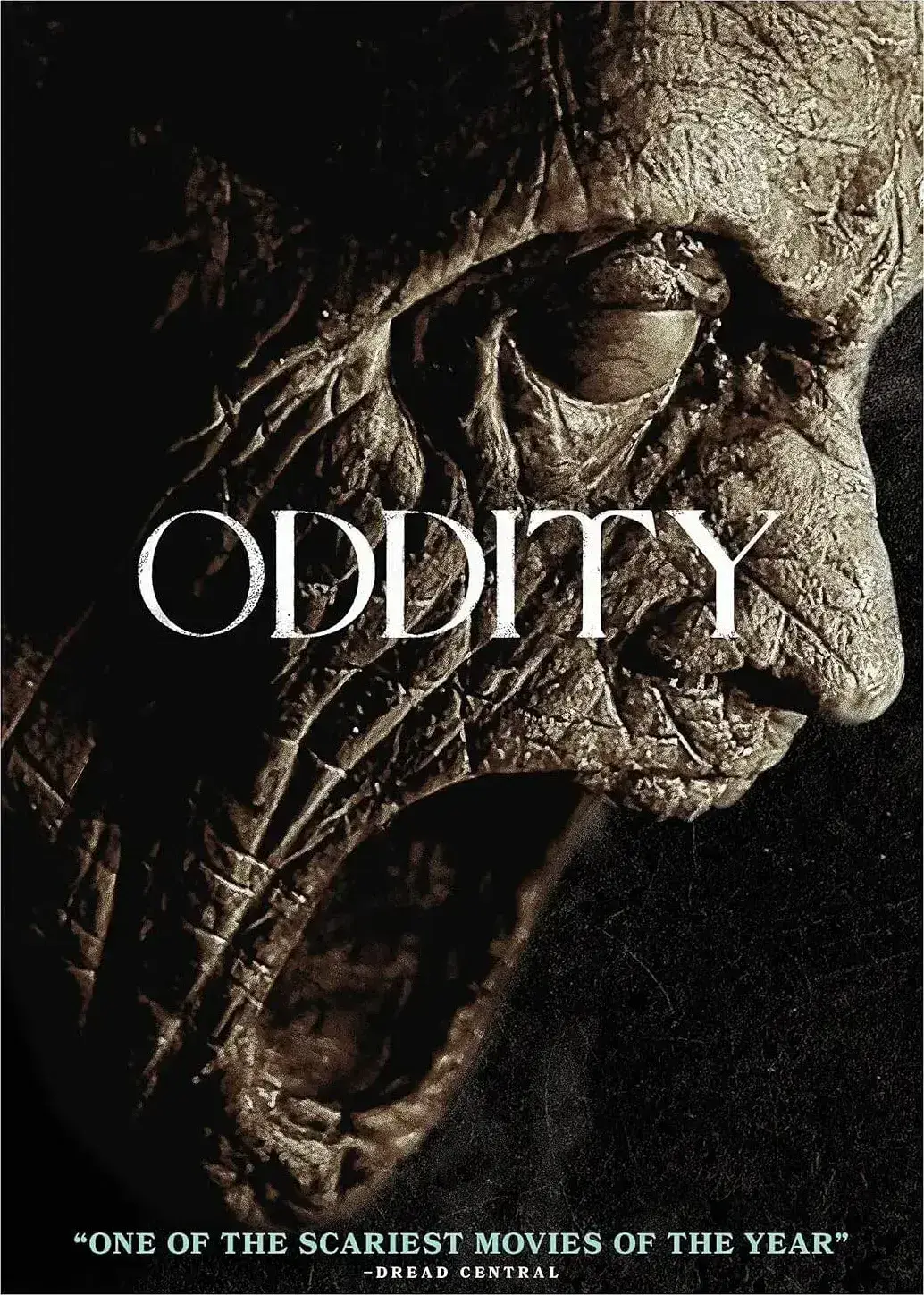 咒物寻凶 WEB-DL版下载/奇人怪事 / 反常 2024 Oddity 10.55G