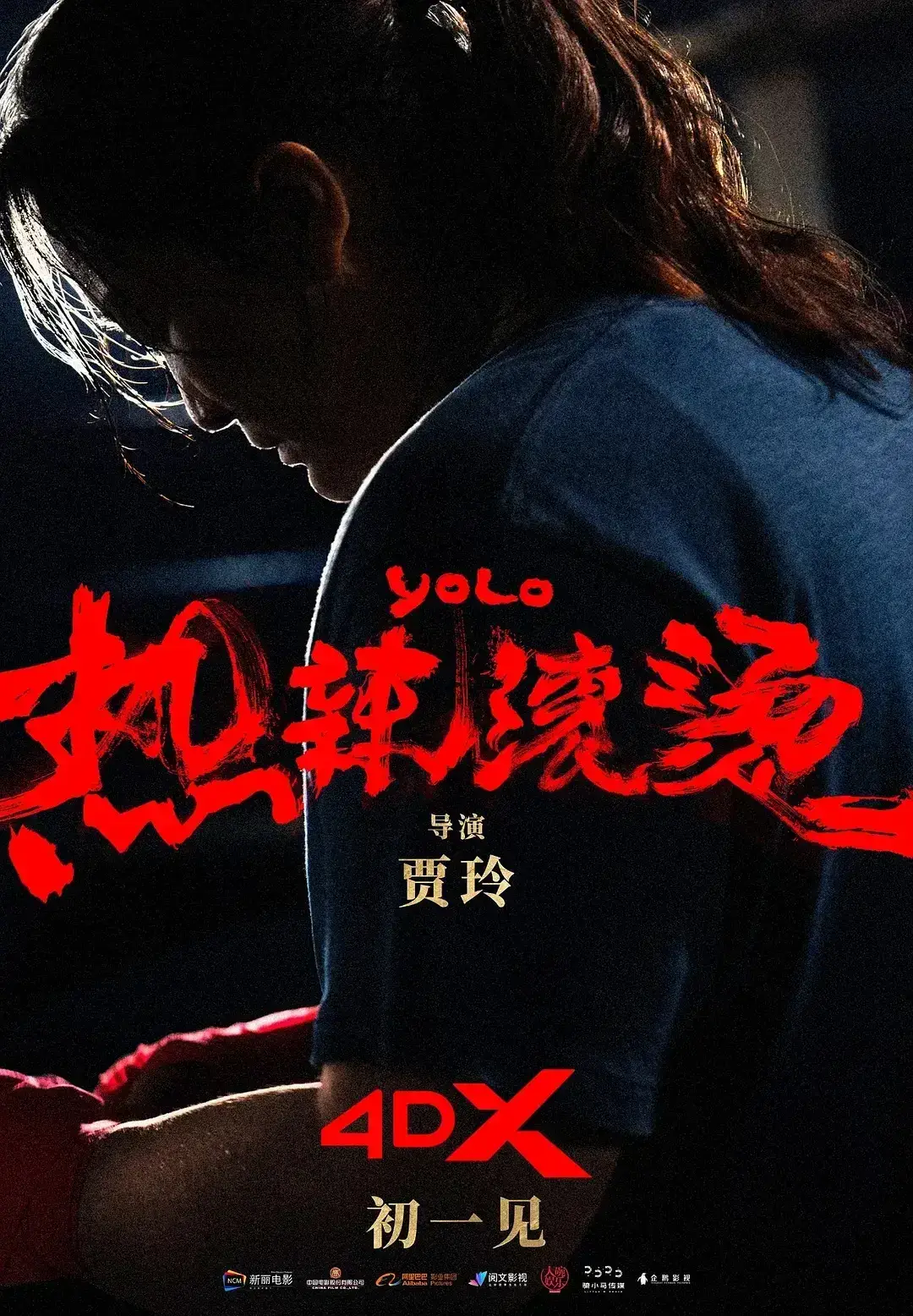 热辣滚烫 WEB-DL版下载/YOLO/中国版百元之恋 2024 热辣滚烫 23.23G