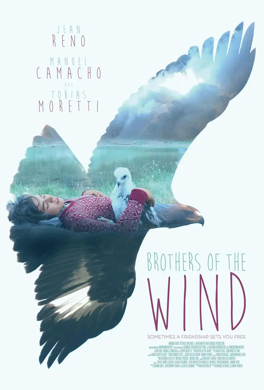 追鹰日记 蓝光原盘下载+高清MKV版/鹰之路 / L’Aigle et l’Enfant / The Way of the Eagle 2015 Brothers of the Wind 22.9G