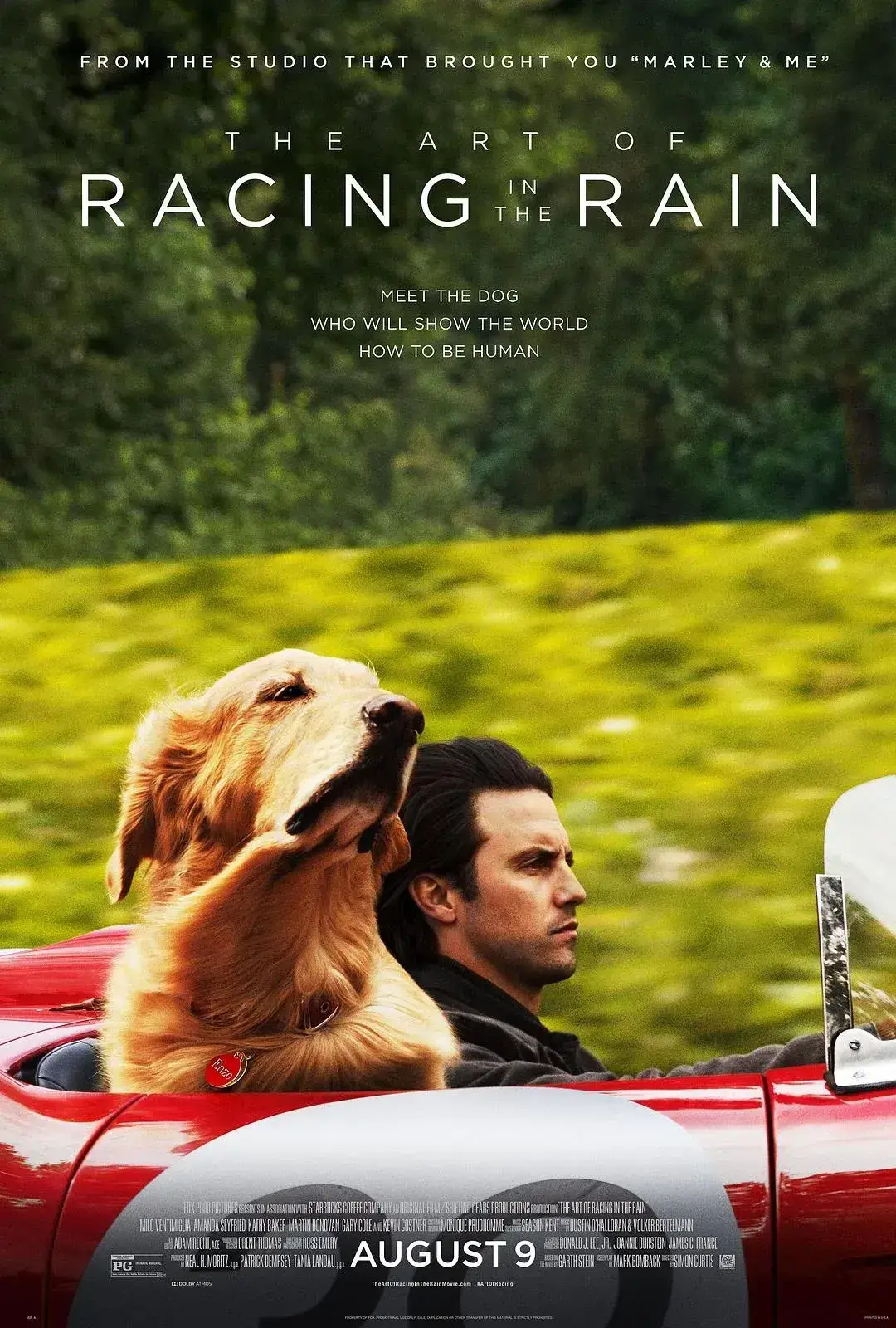 我在雨中等你 蓝光原盘下载+高清MKV版/ 2019 The Art of Racing in the Rain 39.7G