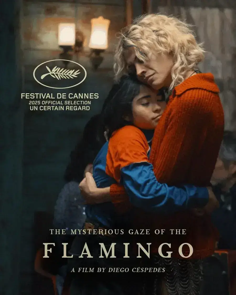 弗拉明戈的神秘眼神 WEB-DL版下载/The Mysterious Gaze of the Flamingo / Le mystérieux regard du flamand rose / 粉红火鹤的神秘凝视(台) 2025 La misteriosa mirada del flamenco 3.72G