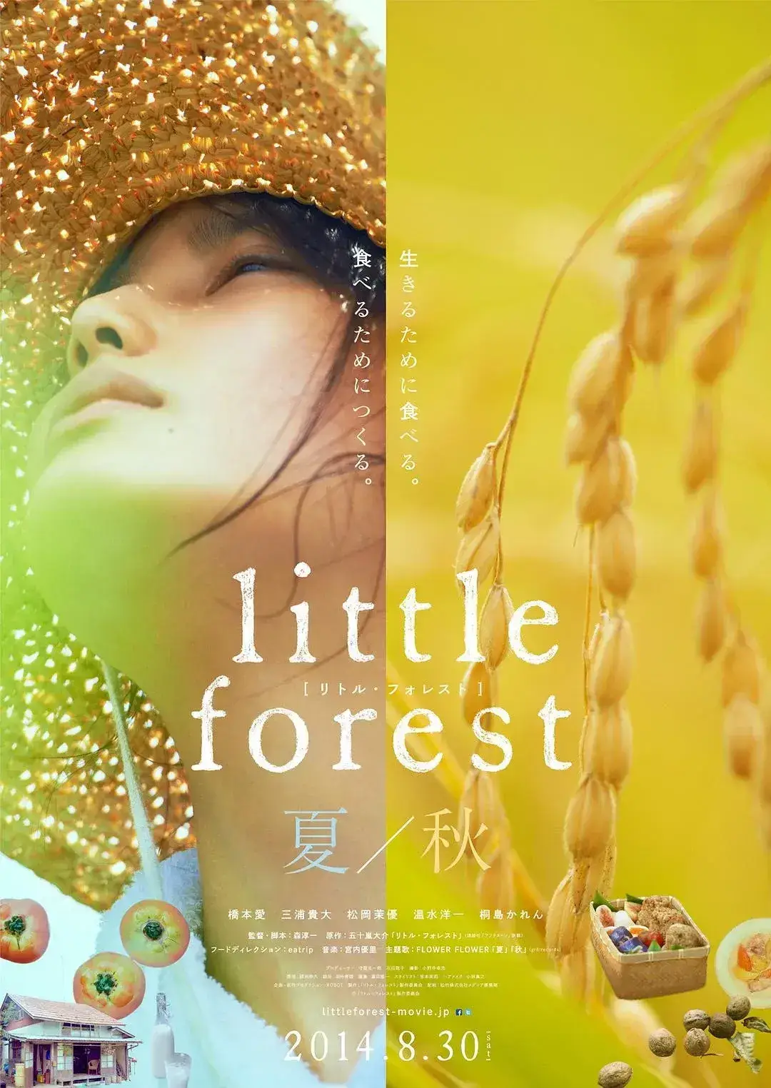 小森林 夏秋篇 蓝光原盘下载+高清MKV版 /小森食光/夏秋篇(台) / Little Forest Summer & Autumn 2014 リトル・フォレスト 夏・秋 36.6G