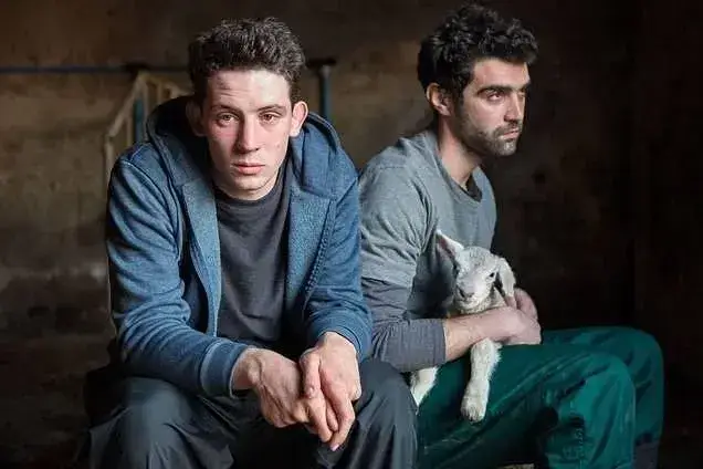 上帝之国 蓝光原盘下载+高清MKV版下载/上帝之乡/上帝的国度(台) 2017 God’s Own Country 33.6G