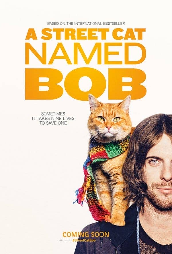 流浪猫鲍勃  蓝光原盘下载+高清MKV版/ 街角遇见猫(港) / 遇见街猫BOB(台) / 街猫鲍勃 / 一只叫做鲍勃的流浪猫 2016 A Street Cat Named Bob 30.74G