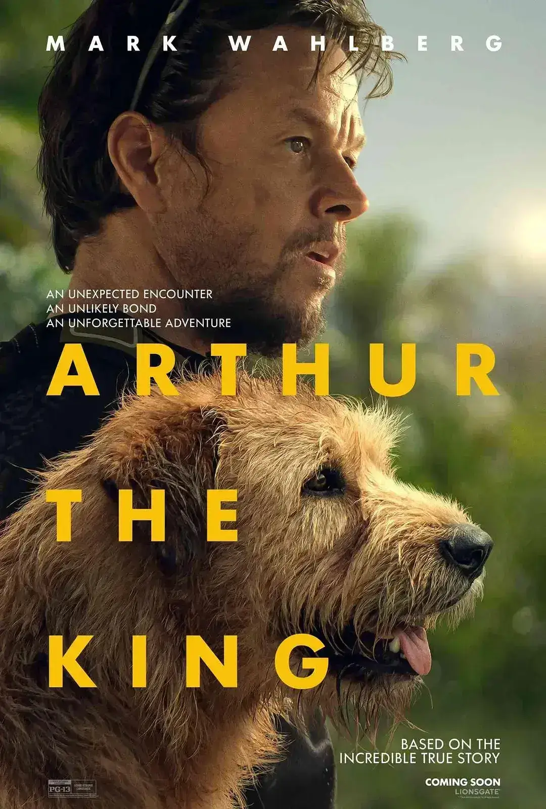 冠军亚瑟 WEB-DL版下载/极限长征(台) / 铁人狗狗(港) 2024 Arthur the King 18.21G