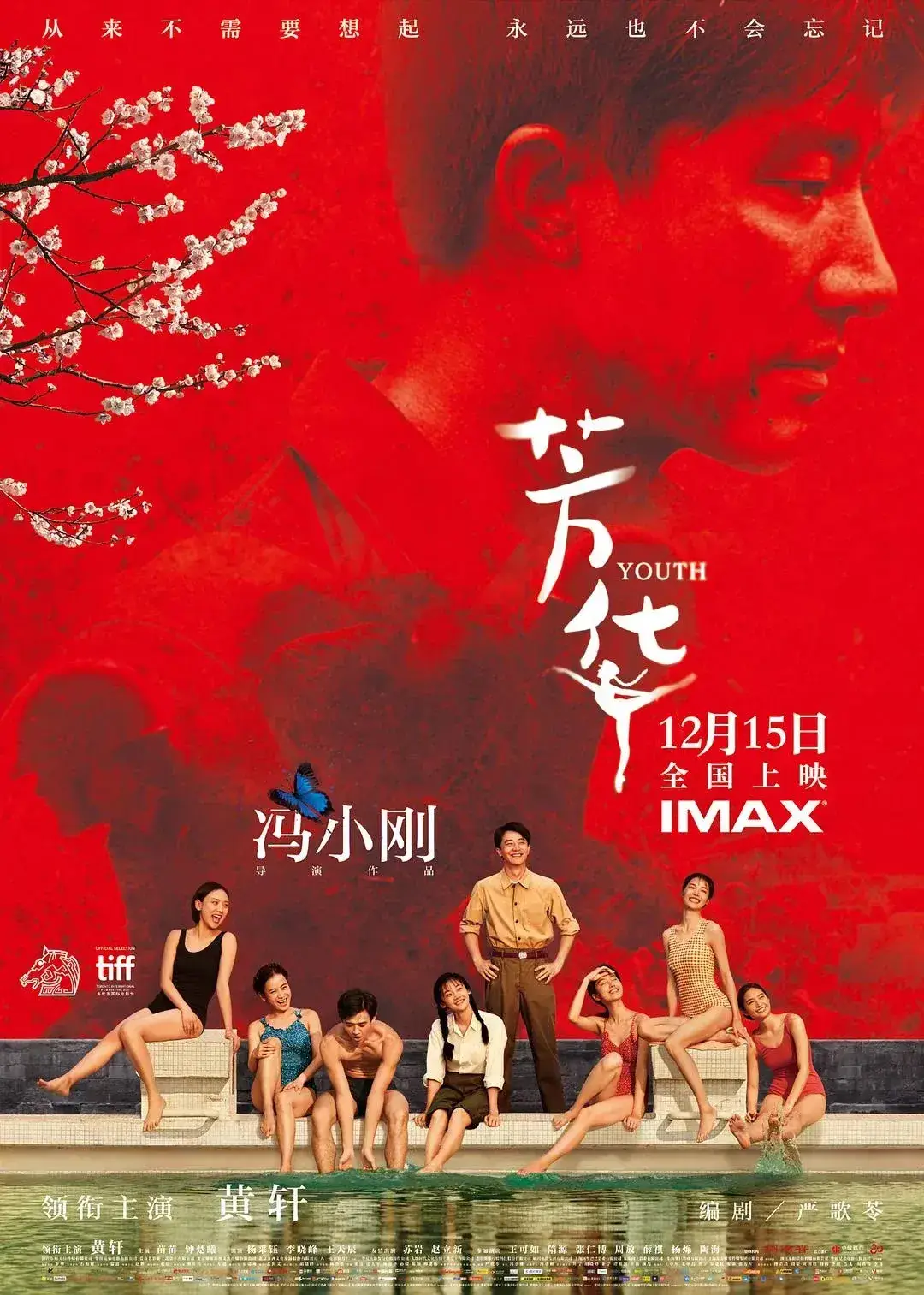 芳华 蓝光原盘下载+高清MKV版/2017 Youth 34.7G